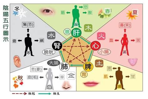 金屬性工作|五行屬金的行業別或職業－林子玄八字命理專欄｜痞客